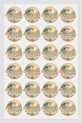 Twisted Coast Matte Logo Sticker Sheet 4x6